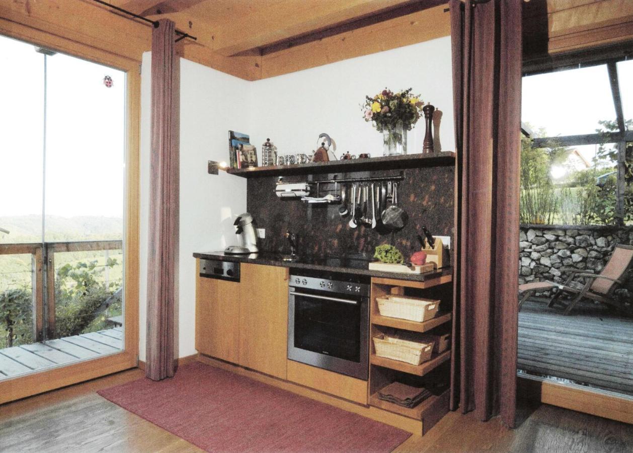 Ferienhaus Am Grassnitzberg 18A Spielfeld Extérieur photo