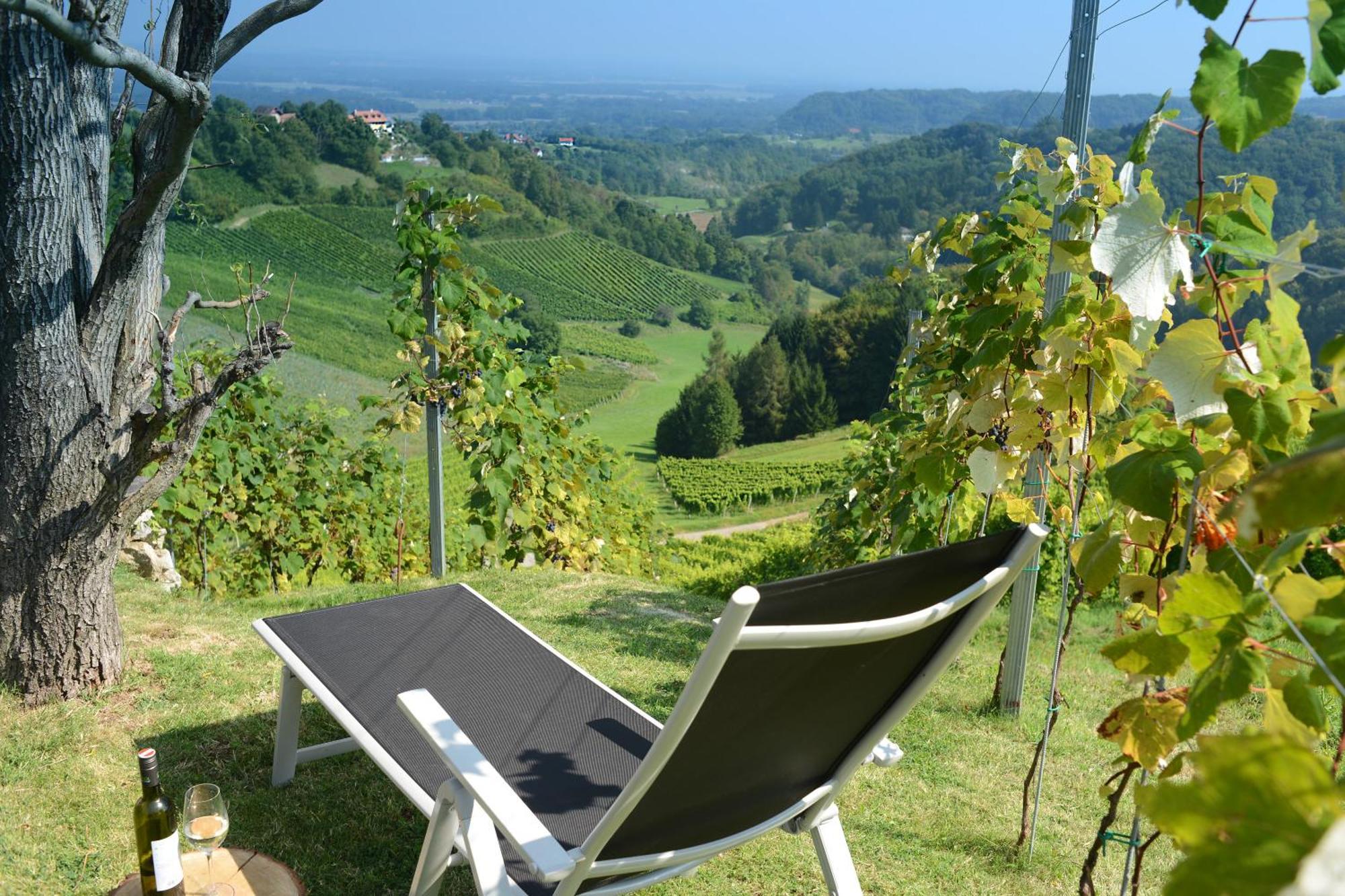Ferienhaus Am Grassnitzberg 18A Spielfeld Extérieur photo
